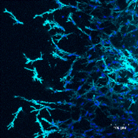 MM-7.全集中 水の呼吸