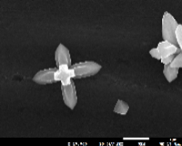 NM-5.まさに「妖精の十字架」?