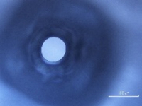 UM-1.300ミクロン向こうに輝くデバイス層