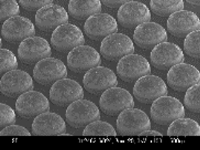 UM-3.たこやき 焼きあがりました