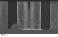 UM-4.深い腐海の底(風の谷のナウシカより)